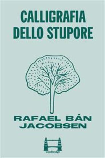 Calligrafia dello stupore - cover