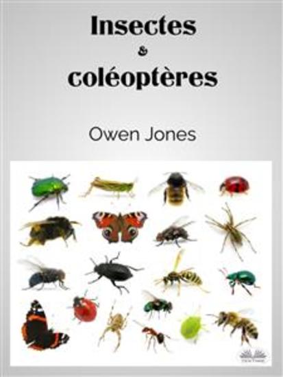 Insectes Et Coléoptères - cover