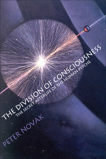 The Division of Consciousness - The Secret Afterlife of the Human Psyche - cover