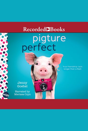 Pigture Perfect - A Wish Novel - cover