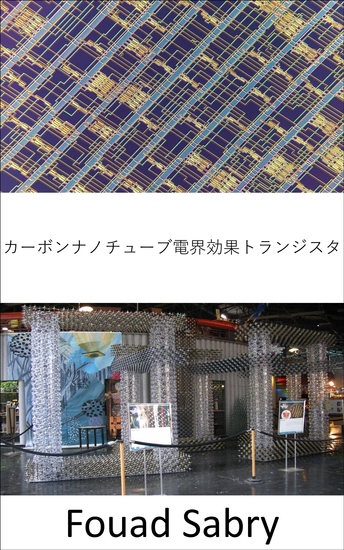 カーボンナノチューブ電界効果トランジスタ - 研究施設から生産現場への移行 - cover