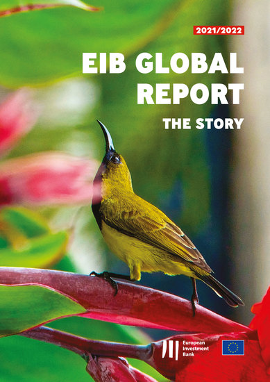 EIB Global Report: The Story - cover