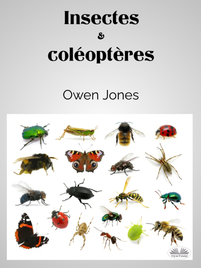 Insectes Et Coléoptères - cover