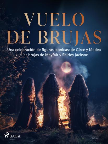 Vuelo de brujas - cover