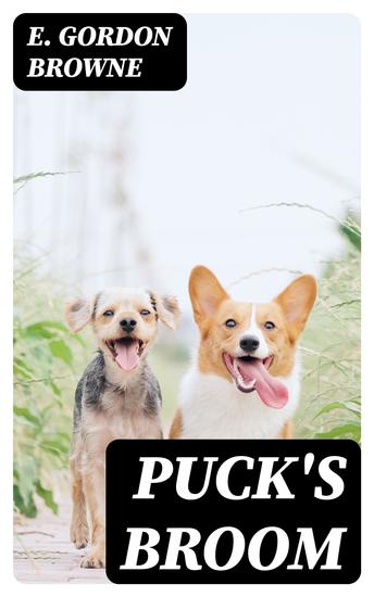 Puck's Broom - The wonderful adventures of George Henry & his dog Alexander who went to seek their fortunes in the Once upon a time land - cover