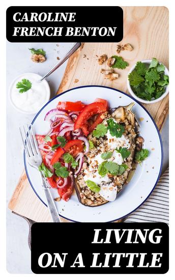 Living on a Little - cover