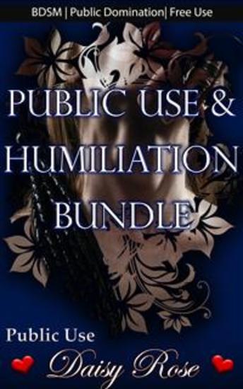 Public Use & Humiliation Bundle - Book 0 of 'Public Use' - cover