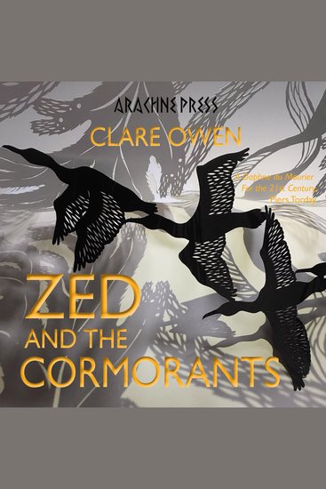 Zed and the Cormorants - winner Holyer An Gof YA Award 2022 - cover
