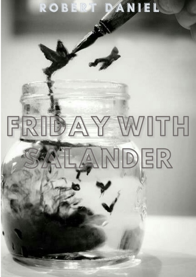 Friday With Salander - cover