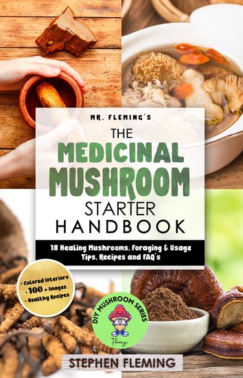 The Medicinal Mushroom Starter Handbook - 18 Healing Mushrooms Foraging & Usage Tips Recipes and FAQ's - cover