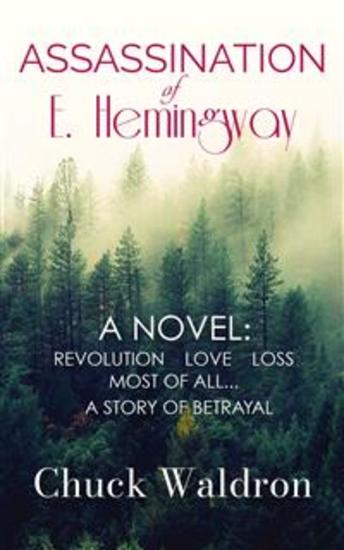 Assassination of E Hemingway - cover