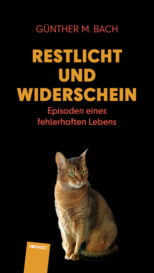 Restlicht und Widerschein - Roman - cover