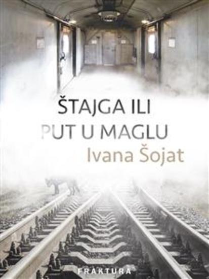 Štajga ili put u maglu - cover