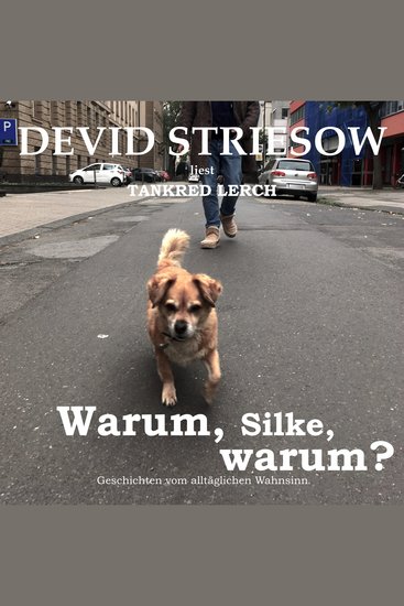 Warum Silke warum? - Geschichten vom alltäglichen Wahnsinn (ungekürzte Lesung) - cover