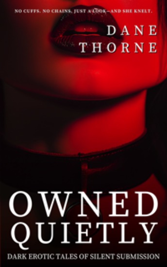 Owned Quietly - Dark Erotic Tales of Silent Submission - cover