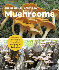 The Beginner's Guide to Mushrooms - Everything You Need to Know from Foraging to Cultivating