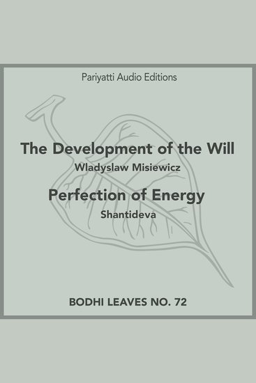 The Development of the Will and Perfection of Energy - cover