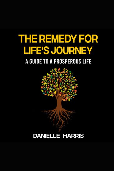 The Remedy For Life's Journey - A Guide To A Prosperous Life - cover
