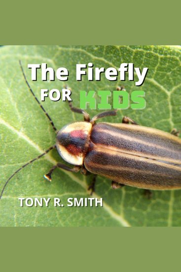 The Fire Fly for Kids - cover