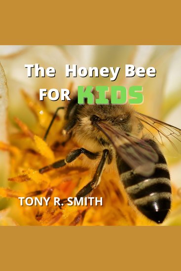 The Honey Bee for kids - cover