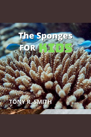The Sponges for Kids - cover
