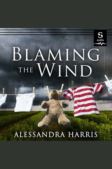 Blaming the Wind - cover
