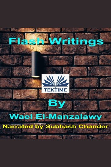 Flash Writings - cover