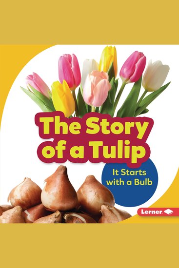 The Story of a Tulip - It Starts with a Bulb - cover