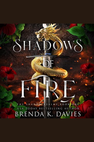 Shadows of Fire (The Shadow Realms Book 1) - cover