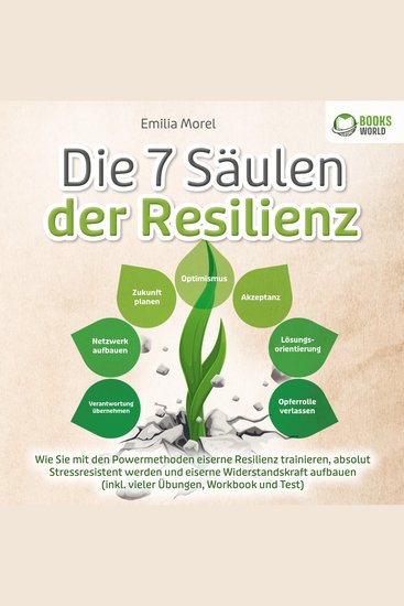 Die 7 Säulen der Resilienz: Wie Sie mit den Powermethoden eiserne Resilienz trainieren absolut Stressresistent werden und eiserne Widerstandskraft aufbauen (inkl vieler Übungen Workbook und Test) - cover