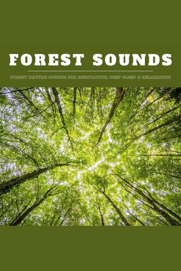 Forest Sounds: Forest Nature Sounds for Meditation Deep Sleep & Relaxation (XXL Bundle) - cover