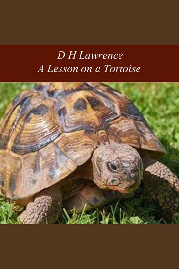 A Lesson on a Tortoise - cover