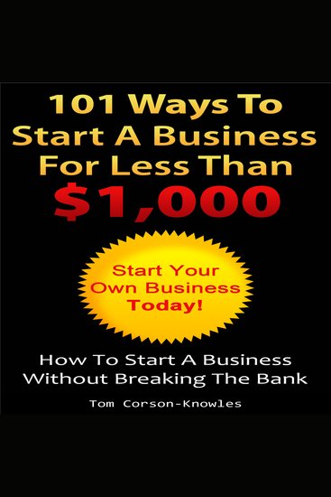 101 Ways To Start A Business For Less Than $1000 - How To Start A Business Without Breaking The Bank (Business Plans Stories and Strategies From Startup Entrepreneurs) - cover