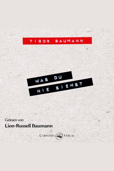 Was du nie siehst - Ein biografischer Roman mit und über Hansi Mühlbauer (Ungekürzt) - cover