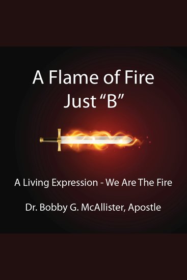 A Flame of Fire Just "B" - cover