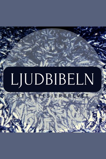 NT | Efesierbrevet - Ljudbibeln - cover