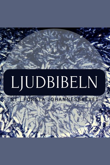 NT | Första Johannesbrevet - Ljudbibeln - cover