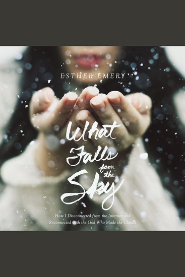 What Falls from the Sky - How I Disconnected from the Internet and Reconnected with the God Who Made the Clouds - cover