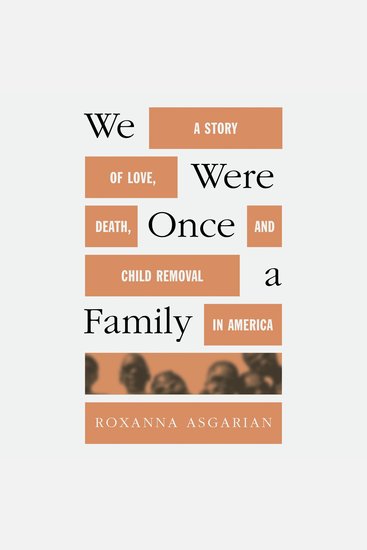 We Were Once a Family - A Story of Love Death and Child Removal in America - cover