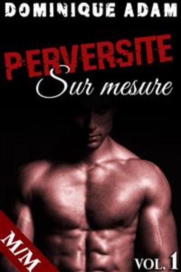 Perversité Sur Mesure Vol 1 - cover