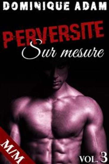 Perversité Sur Mesure Vol 3 - cover