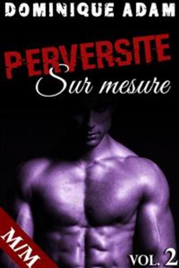 Perversité Sur Mesure Vol 2 - cover