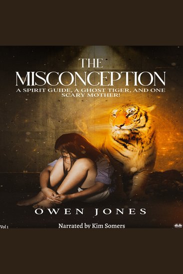 The Misconception - cover