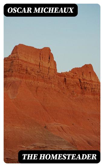 The Homesteader - A Novel - cover