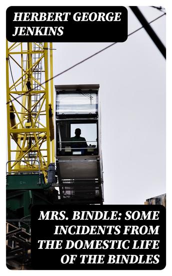 Mrs Bindle: Some Incidents from the Domestic Life of the Bindles - cover
