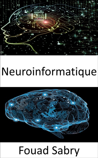 Neuroinformatique - Combiner les données des neurosciences et le traitement de l'information par les réseaux de neurones artificiels - cover