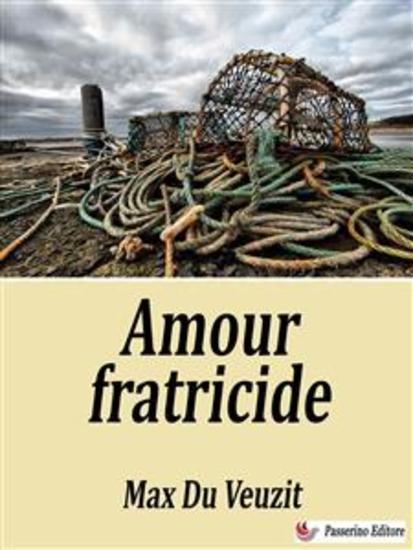 Amour fratricide - cover