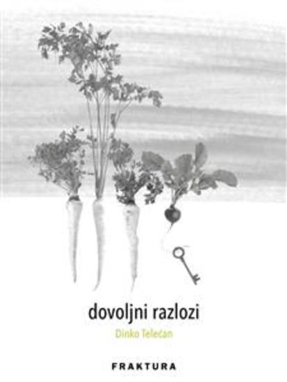 dovoljni razlozi i druge pjesme - cover