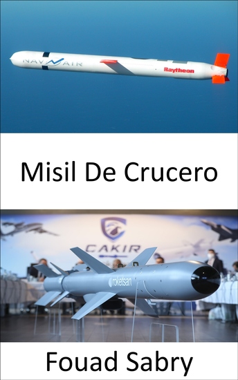 Misil De Crucero - Velocidades subsónicas supersónicas o hipersónicas; autonavegación; trayectoria no balística y de altitud extremadamente baja; destrucción de alta precisión - cover