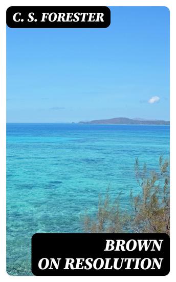 Brown on Resolution - World War I Novel - cover